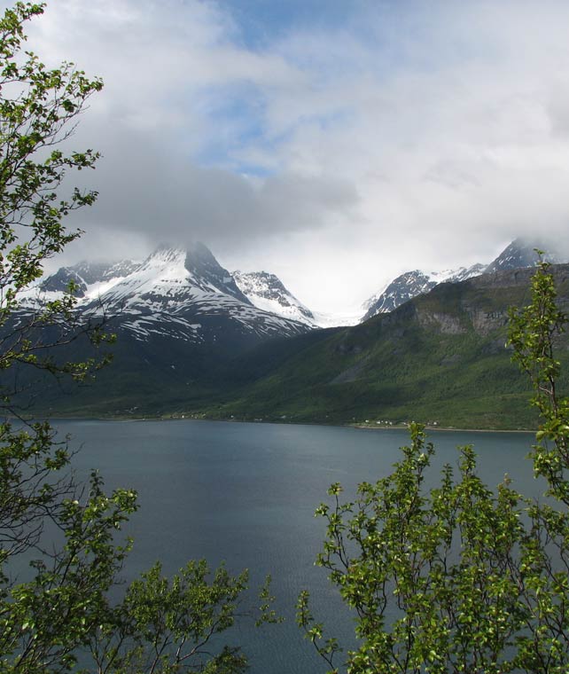 Couples Therapy / Marriage Counseling