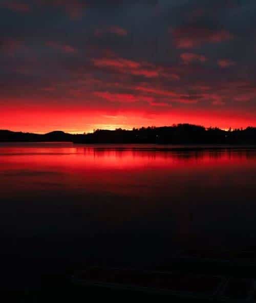 Individual Adult Therapy