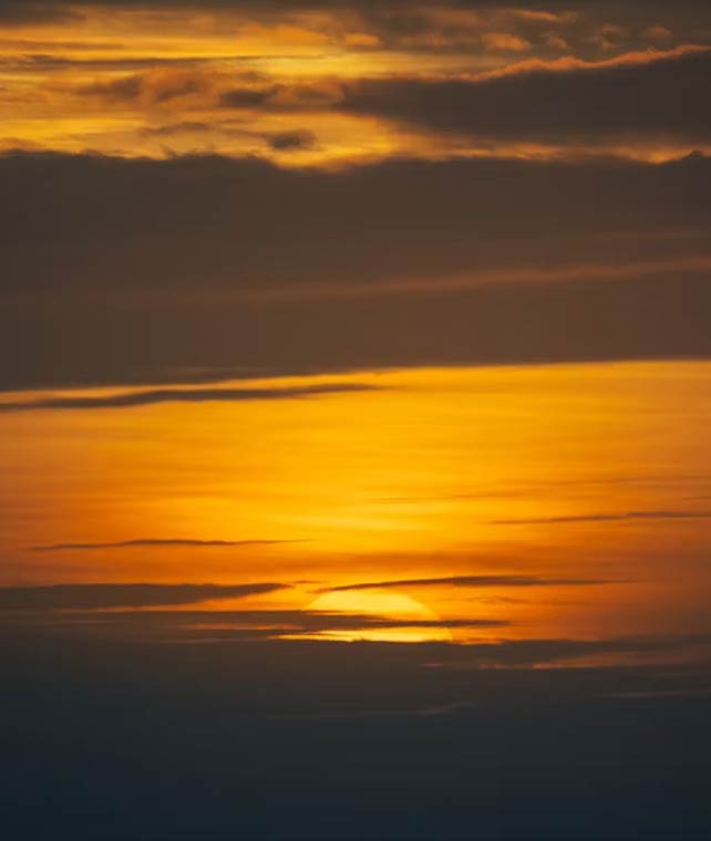 Solution Focused<br />
Brief Therapy